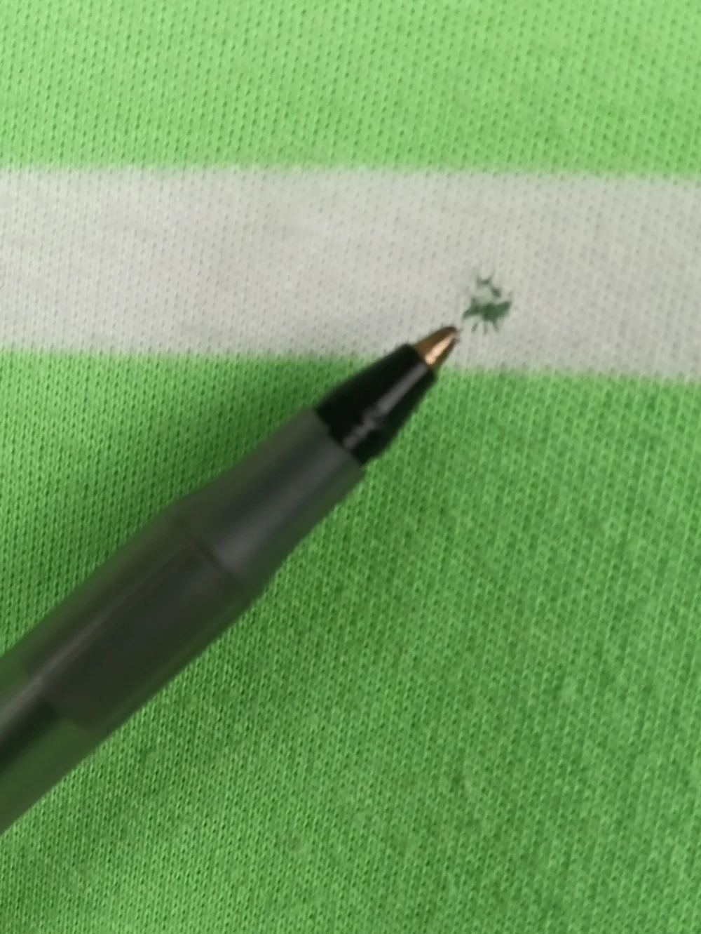 Polo by Ralph Lauren Lime Green & White Striped Polo
